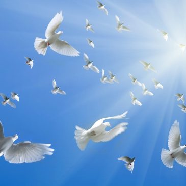 7 petits actes qui peuvent vous rapporter de grandes bénédictions célestes
