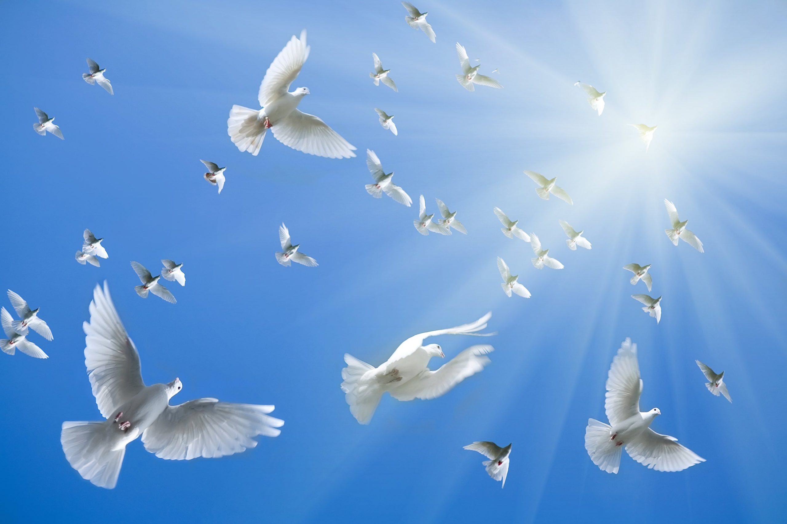 7 petits actes qui peuvent vous rapporter de grandes bénédictions célestes